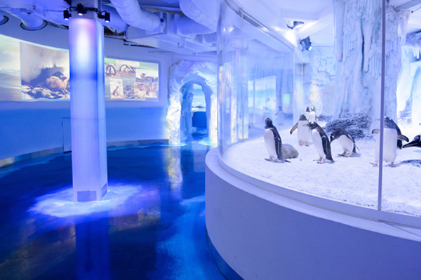 Gentoo