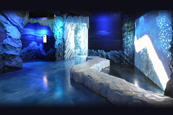 Arctic Adventure